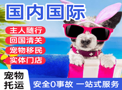 衢州空运代理国际宠物托运 【国